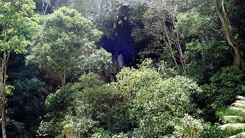 Parque-Cueva-de-los-Guácharos-lugares-del-huila